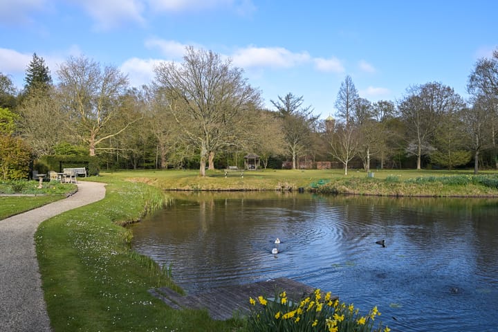 Foto 23 van Stoeplaan 11-F25