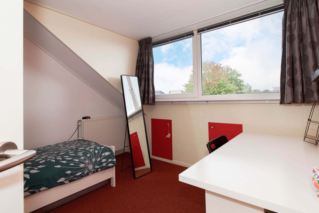 Foto 26 van Plecht 220