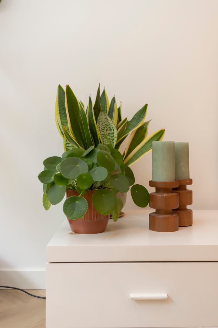 Photo 8 of Jekerstraat 15-1