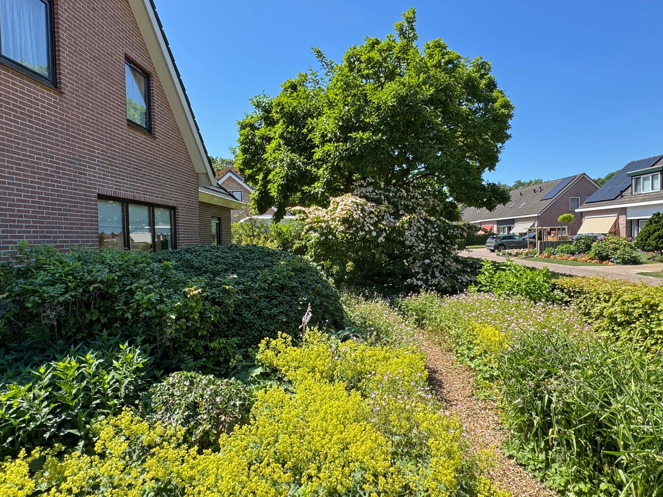 Photo 9 of Luunkamp 14