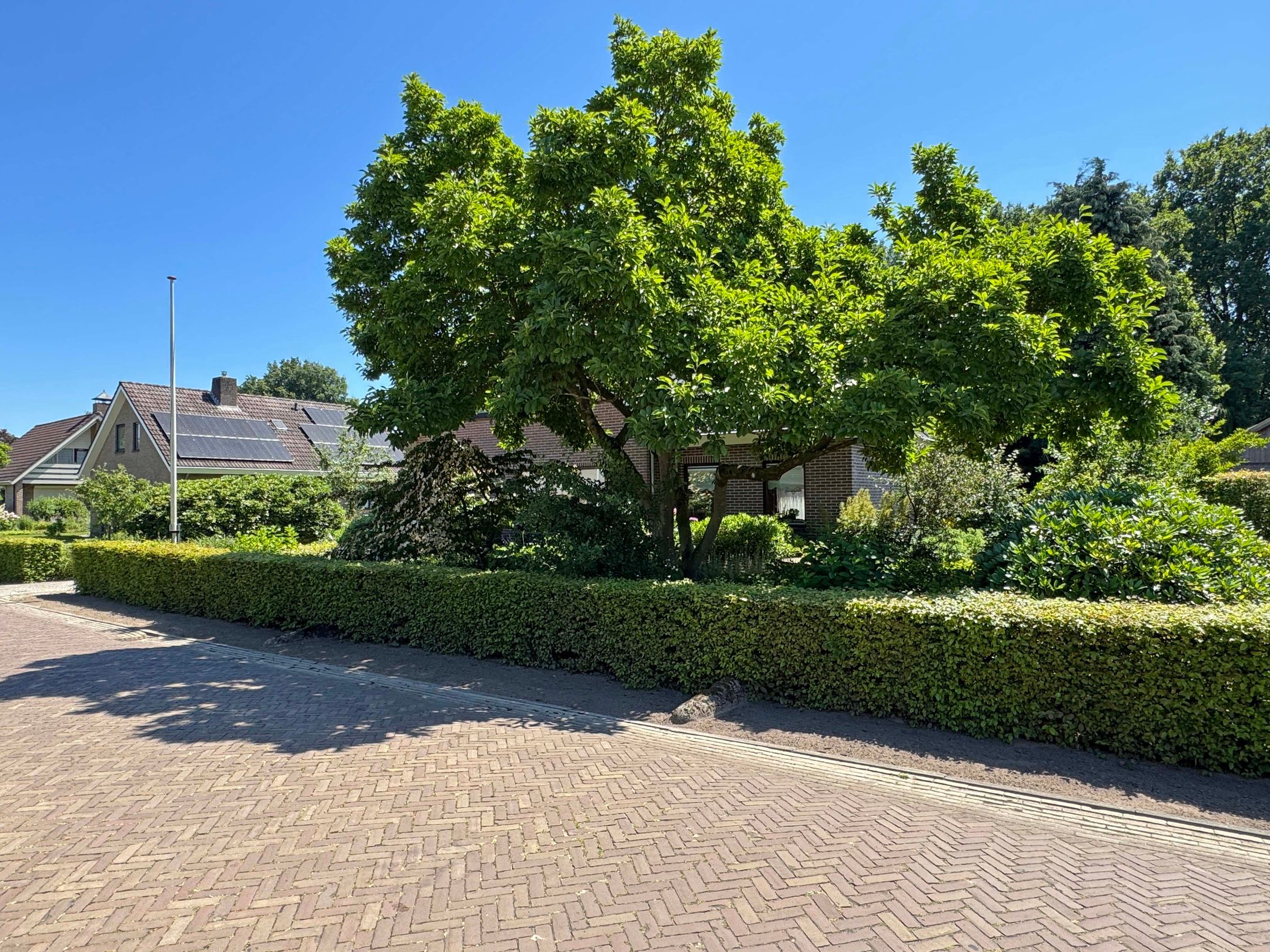 Photo 6 of Luunkamp 14