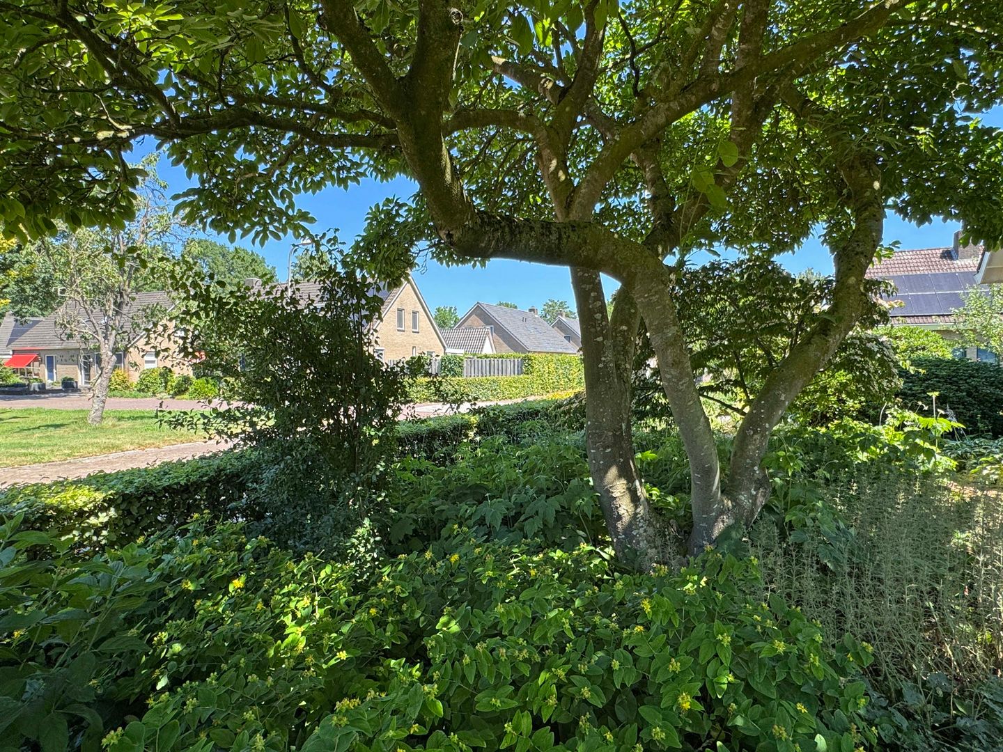 Photo 14 of Luunkamp 14