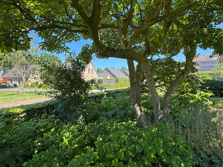 Foto 14 van Luunkamp 14