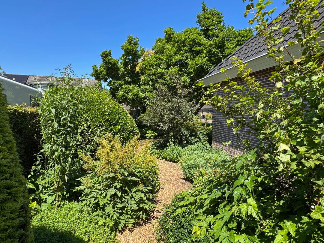 Photo 16 of Luunkamp 14