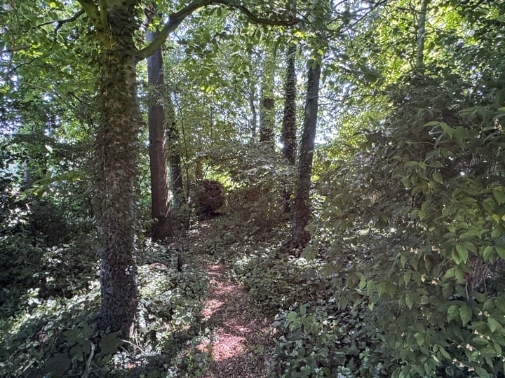 Foto 23 van Luunkamp 14