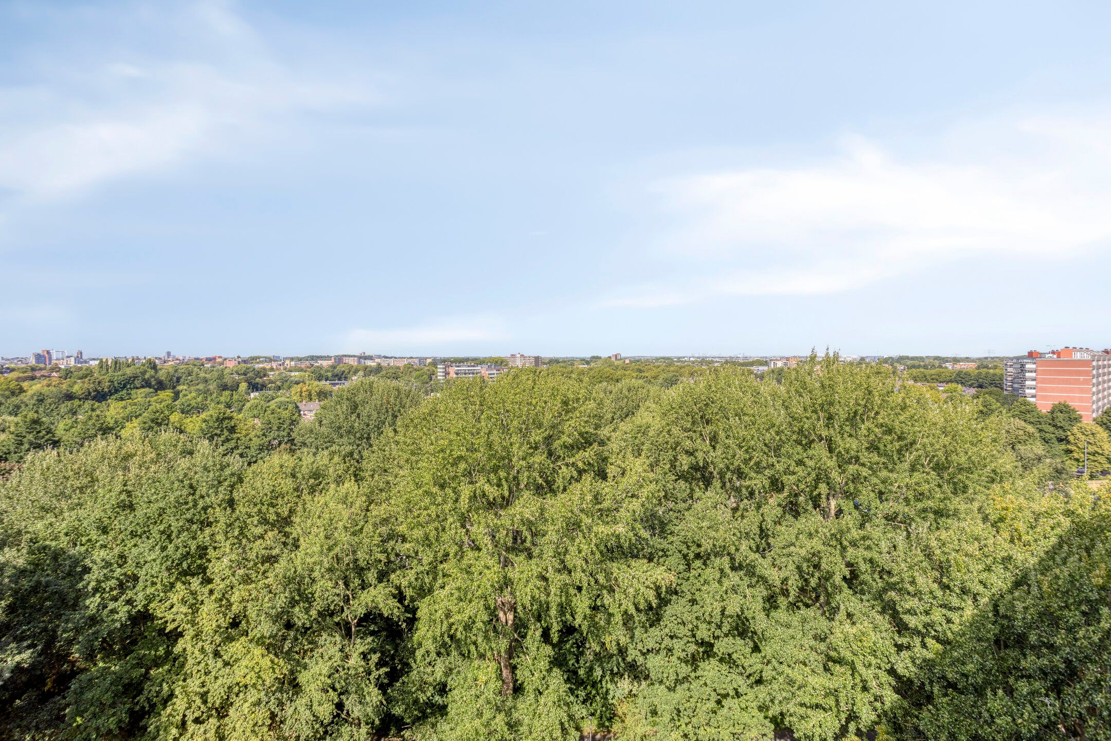 Foto 15 van Zernikelaan 558