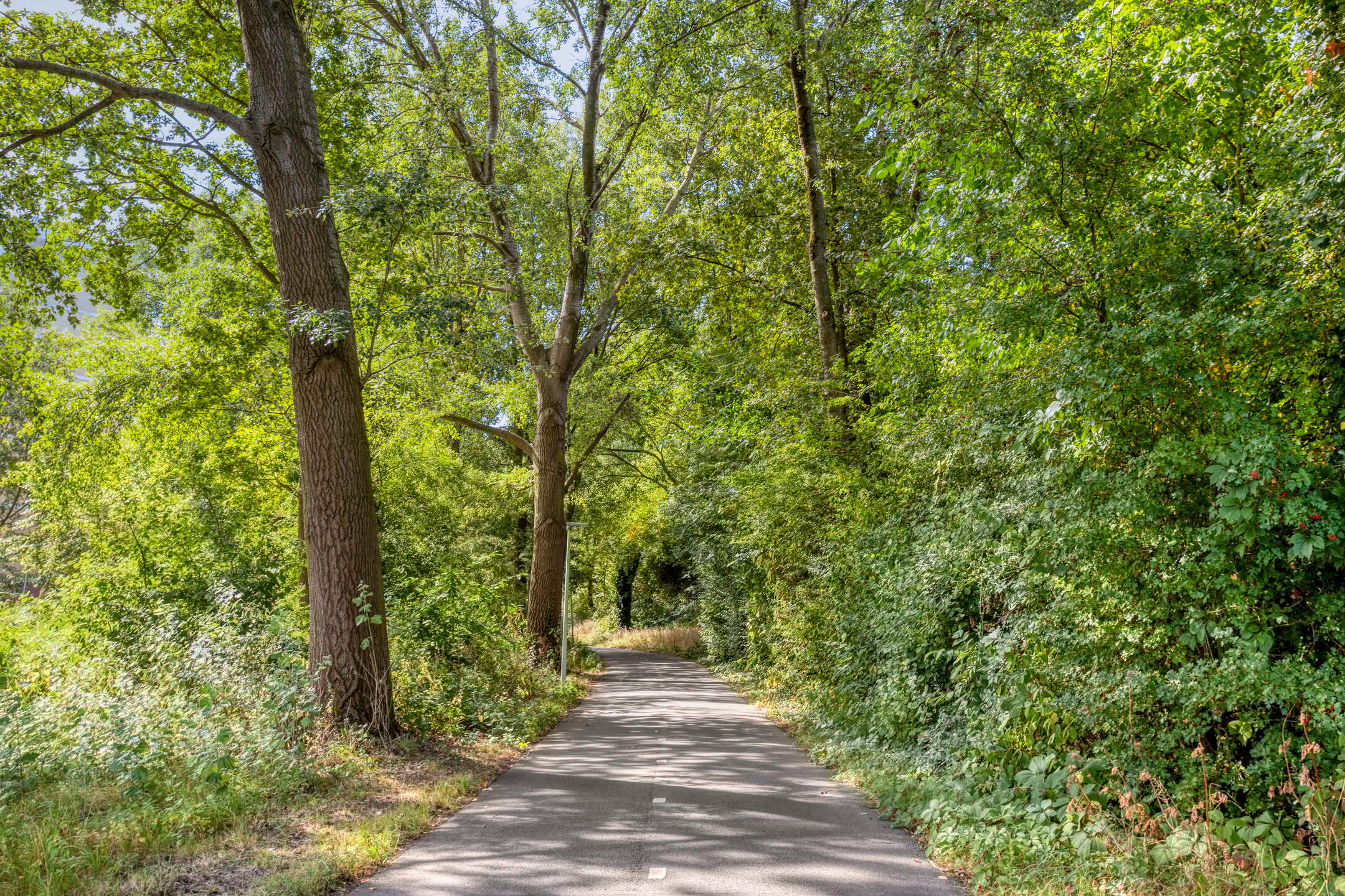 Foto 30 van Zernikelaan 558