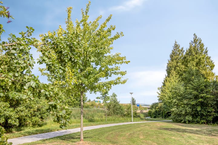 Foto 29 van Zernikelaan 558