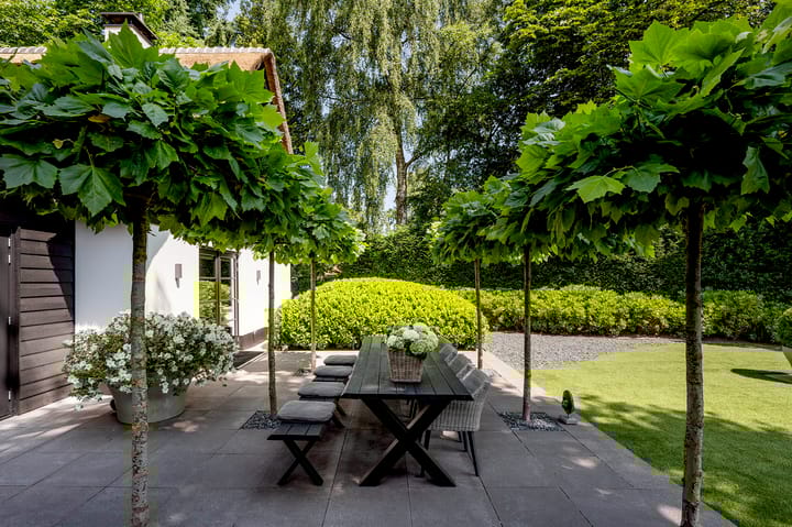 Photo 55 of Blaricummertollaan 6