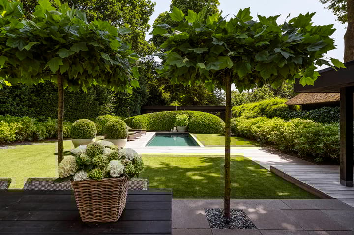 Photo 59 of Blaricummertollaan 6