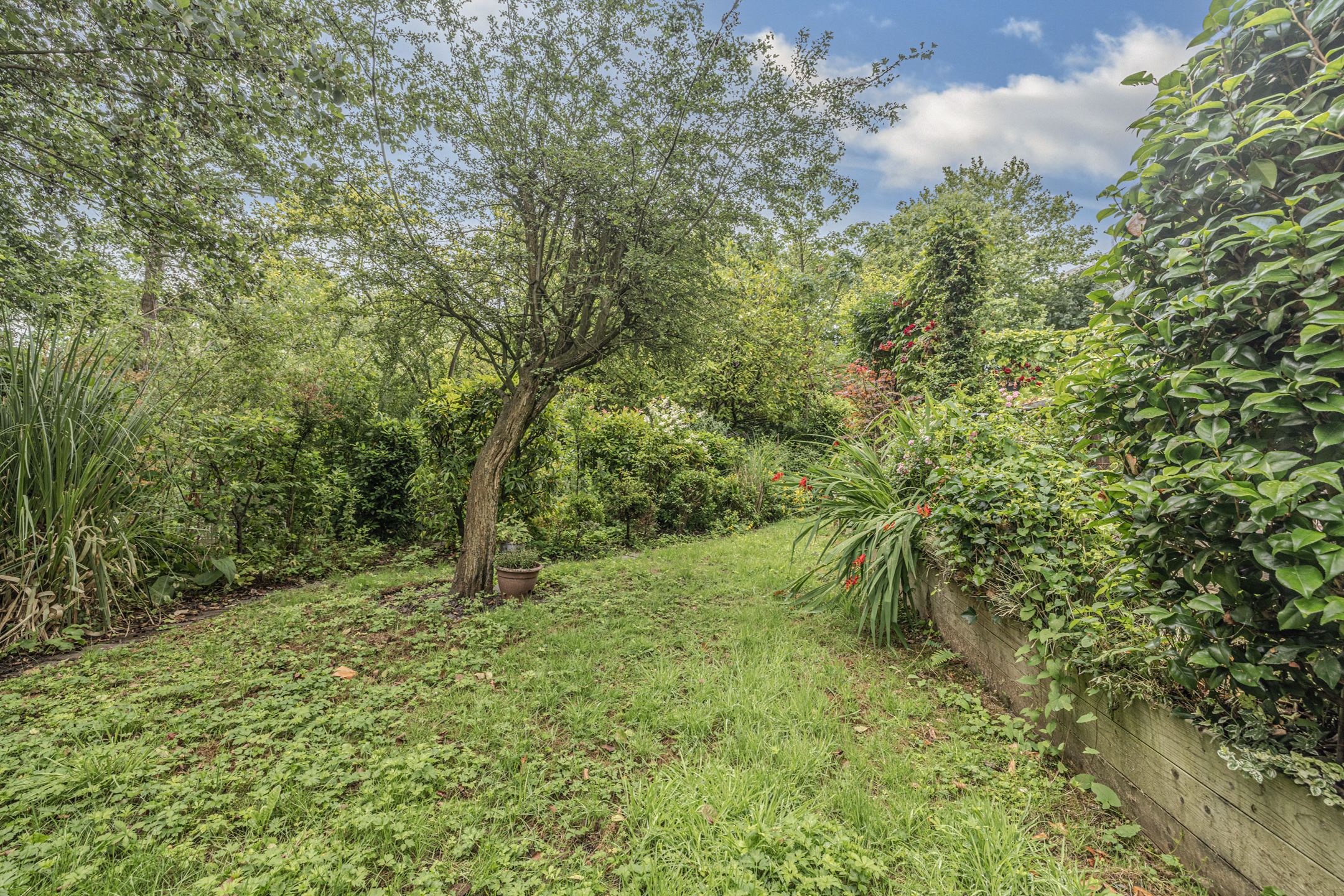 Photo 33 of De Lairesselaan 12