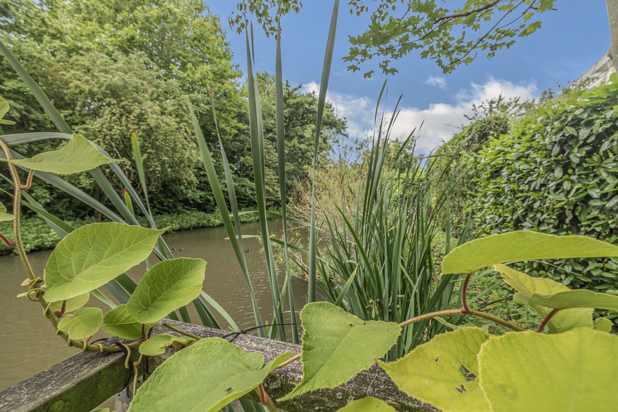 Photo 36 of De Lairesselaan 12