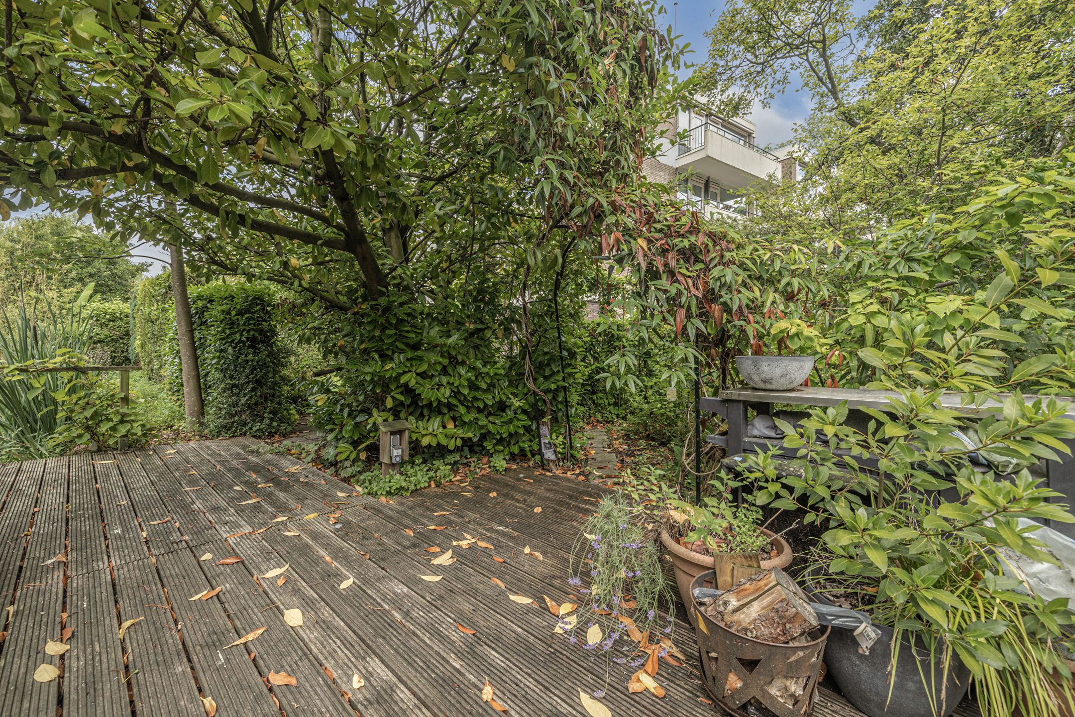 Photo 39 of De Lairesselaan 12