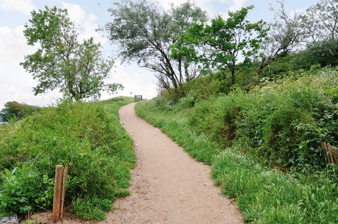 Foto 37 van Pluvierstraat 353