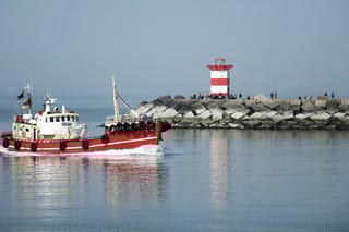 Foto 41 van Pluvierstraat 353