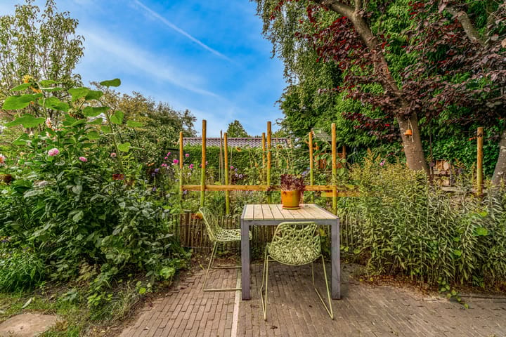 Photo 51 of Zuiderhout 28