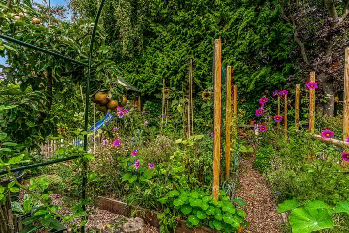 Photo 52 of Zuiderhout 28