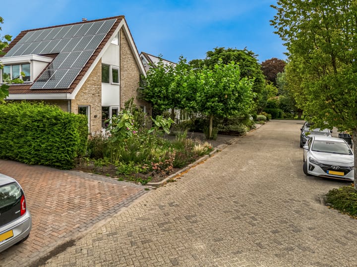 Photo 59 of Zuiderhout 28