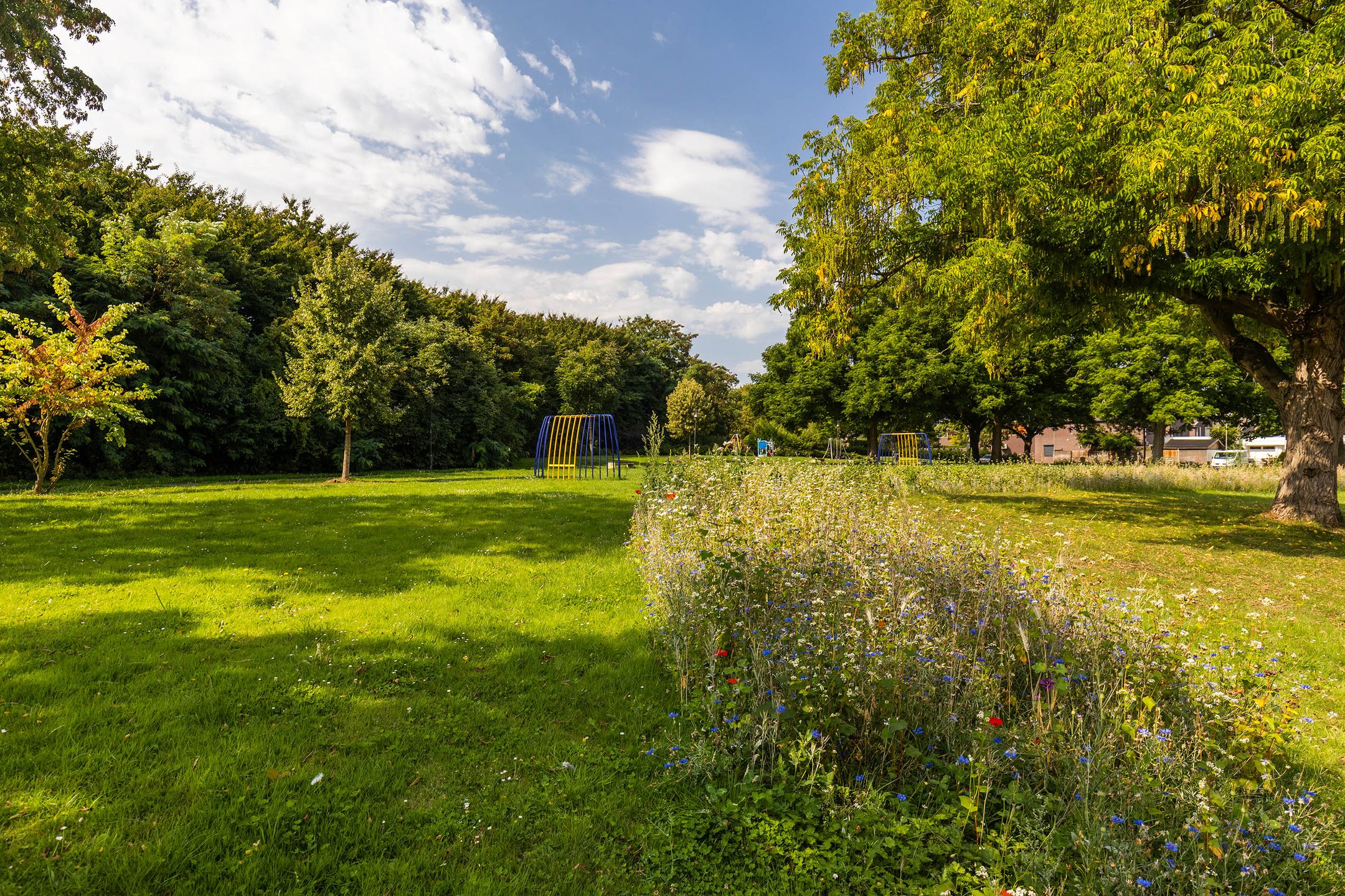 Foto 33 van Biesboschstraat 2