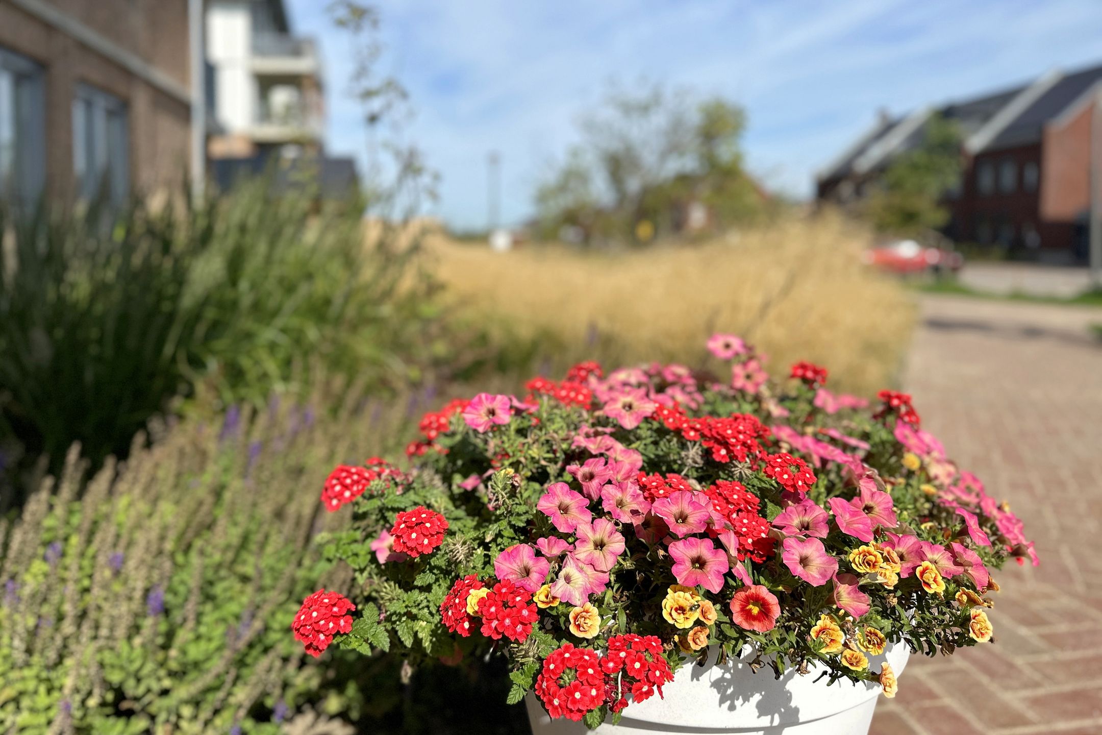 Foto 15 van Parklaan 45-A