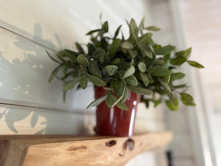 Photo 7 of Dorperheideweg 12-335