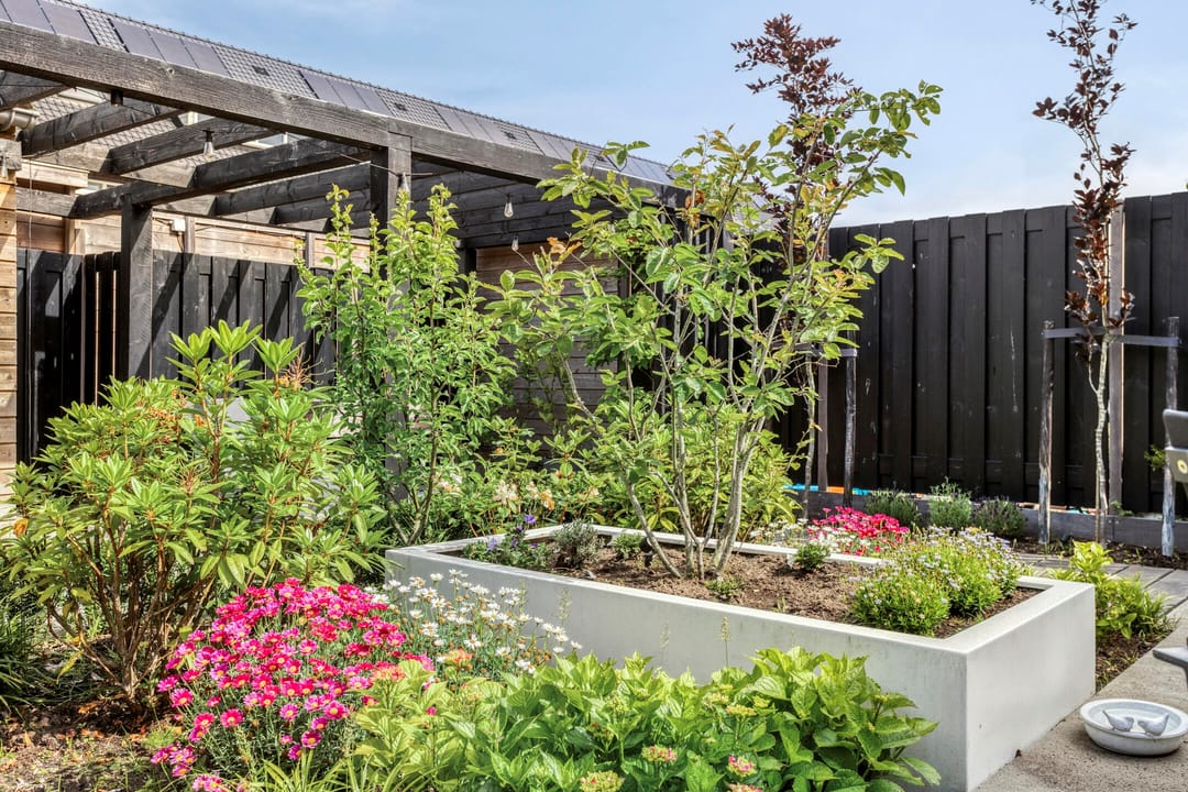 Foto 17 van Sikkel 23