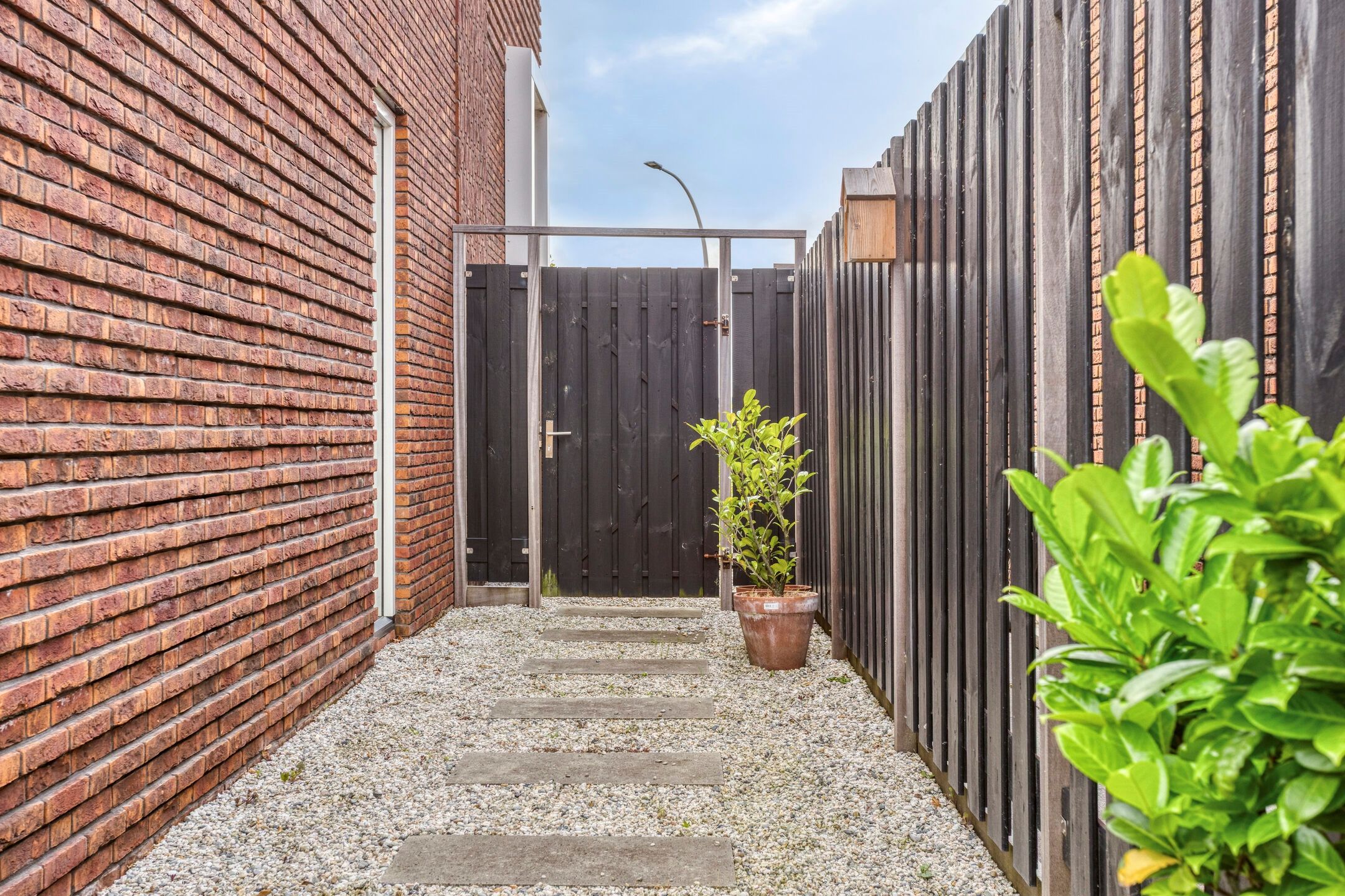 Foto 33 van Sikkel 23