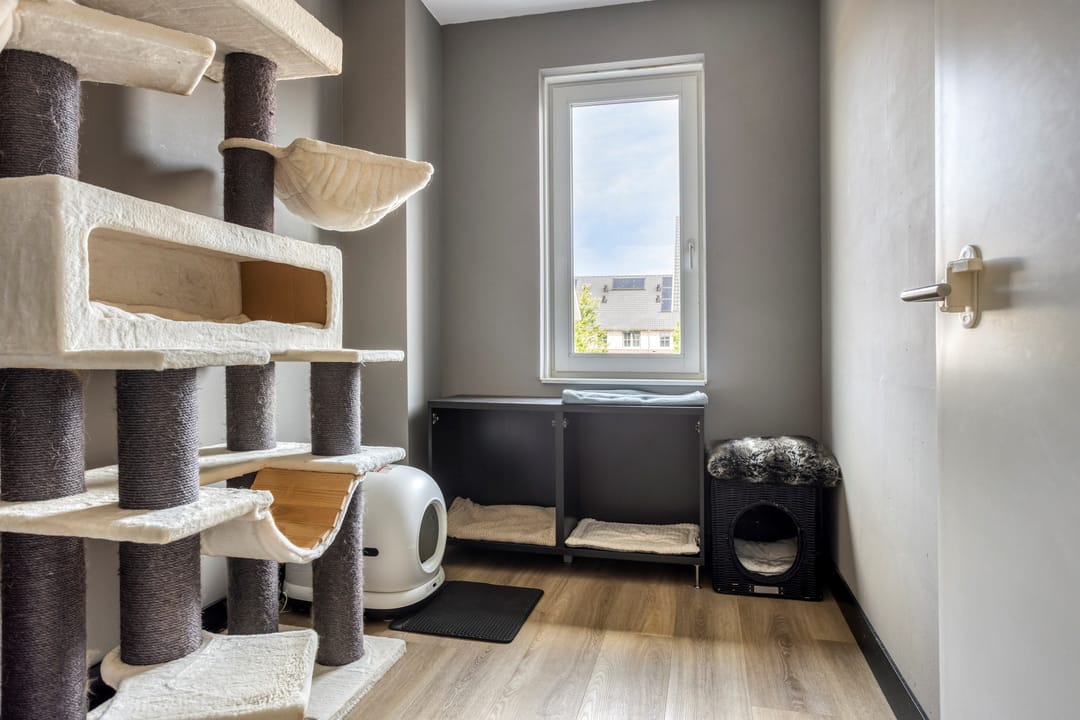 Foto 28 van Sikkel 23