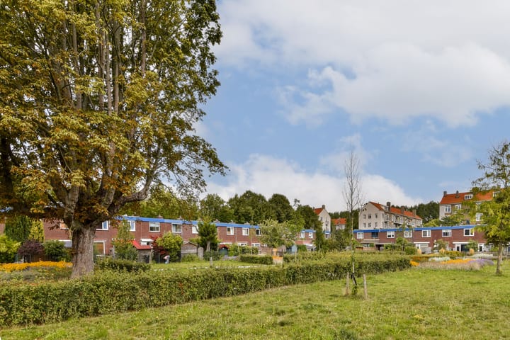 Foto 20 van Anton Petershof 22