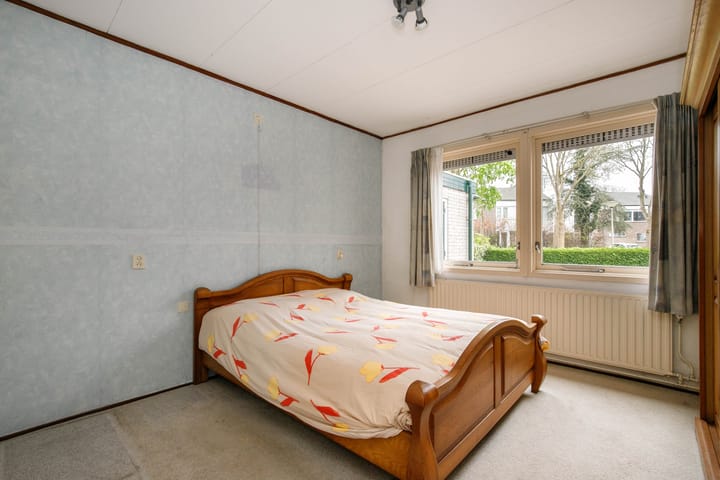 Photo 15 of Groenezoom 19