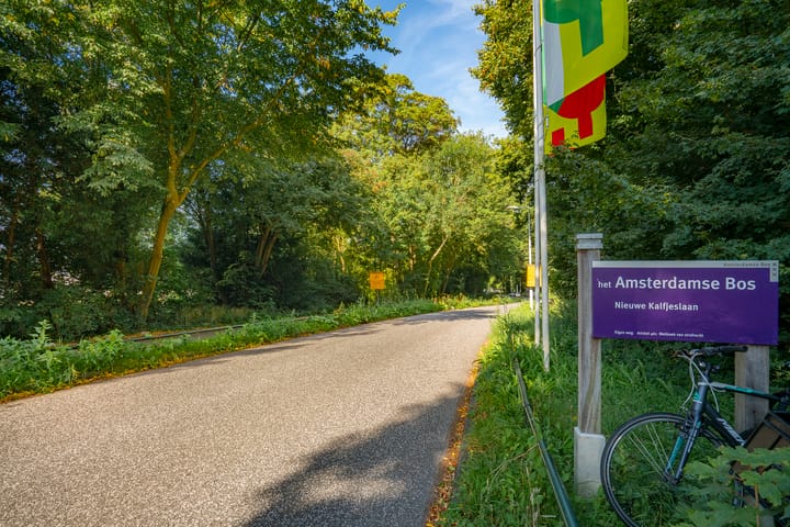 Photo 65 of Jan Tooroplaan 53