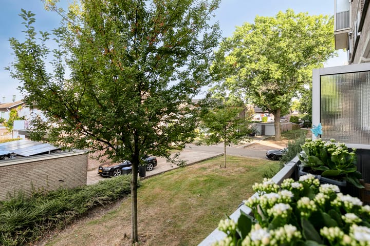 Foto 31 van Boerhaavelaan 97