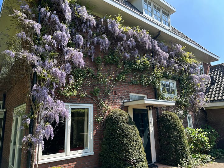 Photo 38 of Rembrandtlaan 34