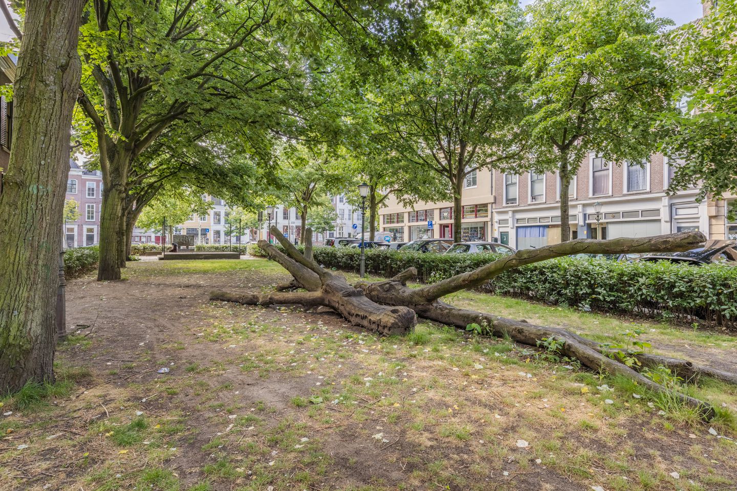 Photo 35 of Laan 267