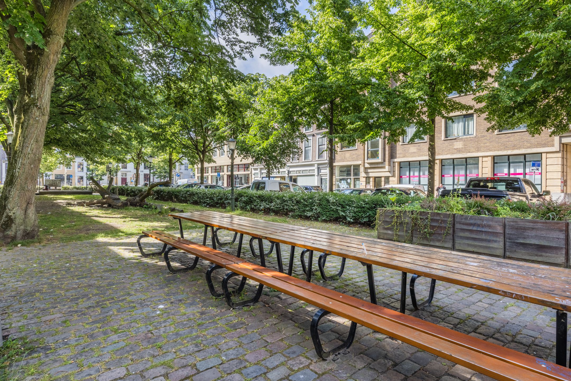 Photo 36 of Laan 267