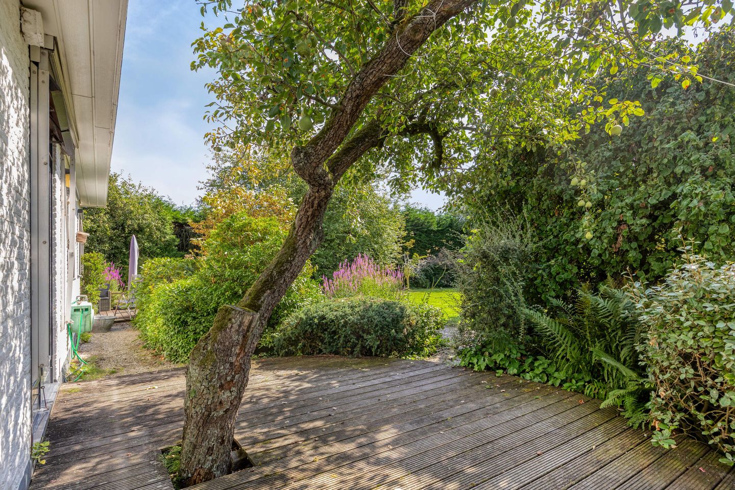 Foto 50 van Bermweg 34