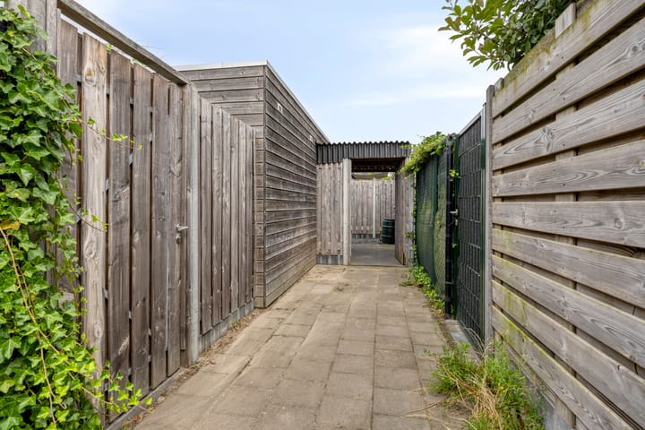 Photo 30 of Dagpauwoog 52