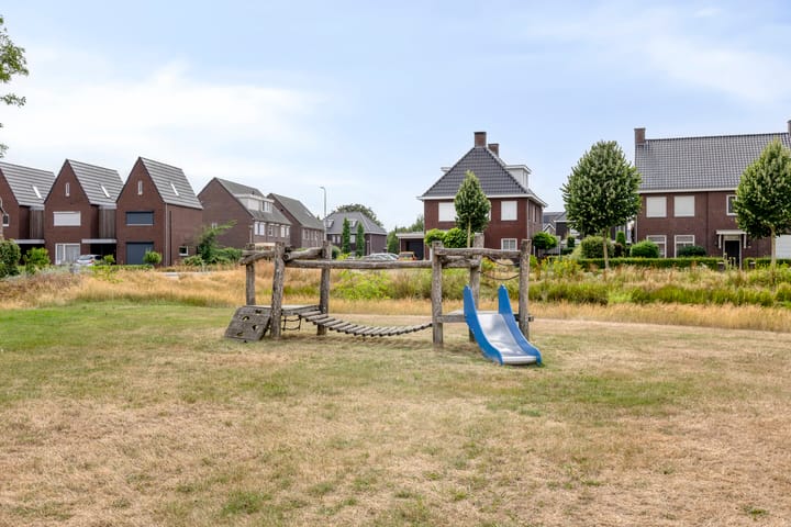 Photo 32 of Dagpauwoog 52