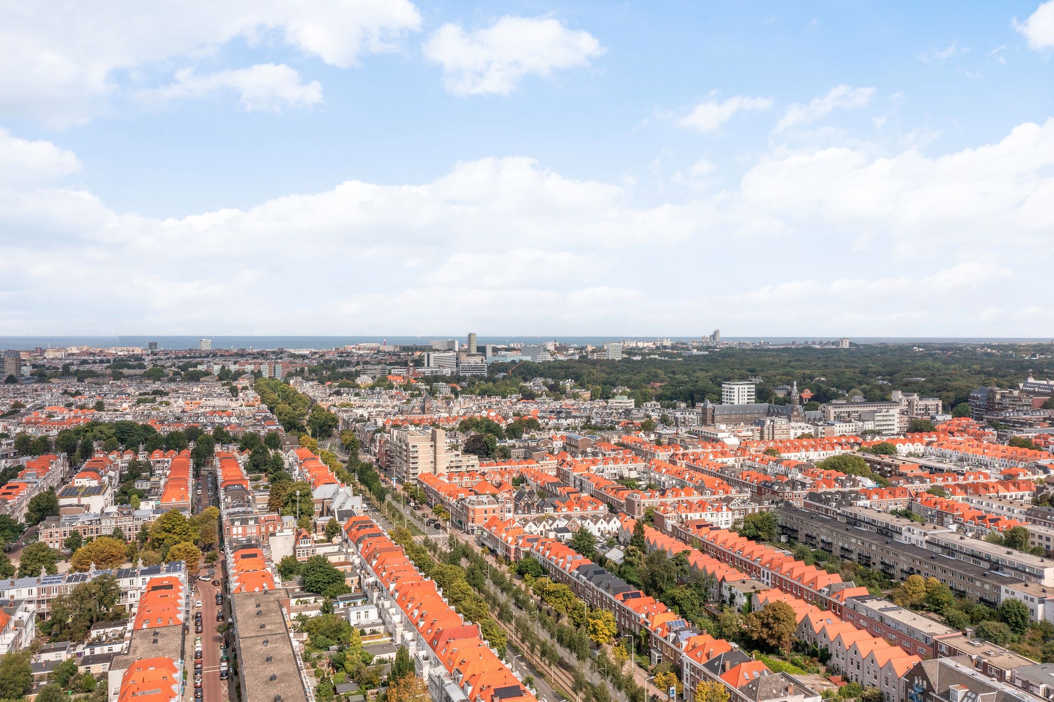 Foto 39 van Dibbetsstraat 24