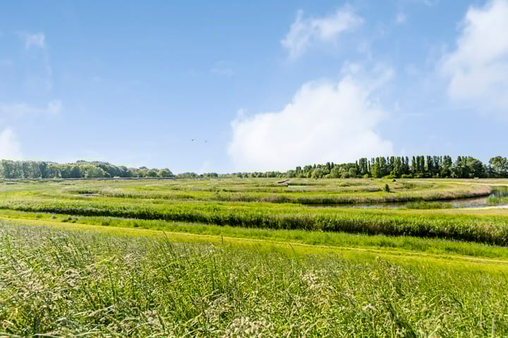 Photo 34 of Driehuizen 7