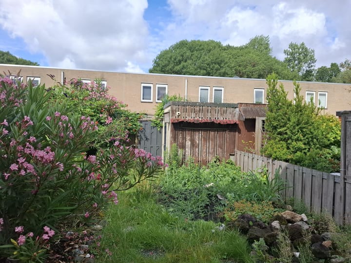 Foto 12 van Weerdesteynstraat 57