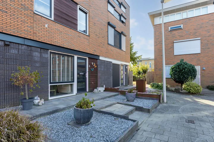 Foto 4 van Watersnip 4