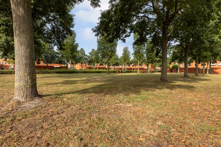 Foto 38 van Watersnip 4