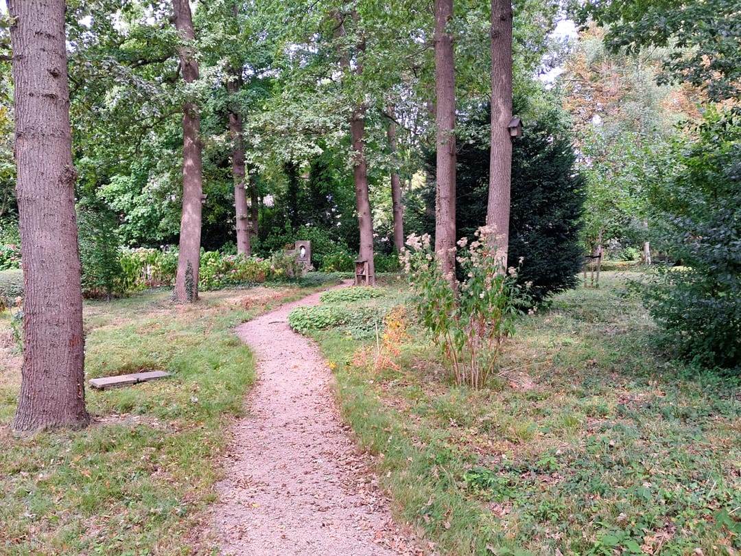 Foto 38 van Mariaplein 1