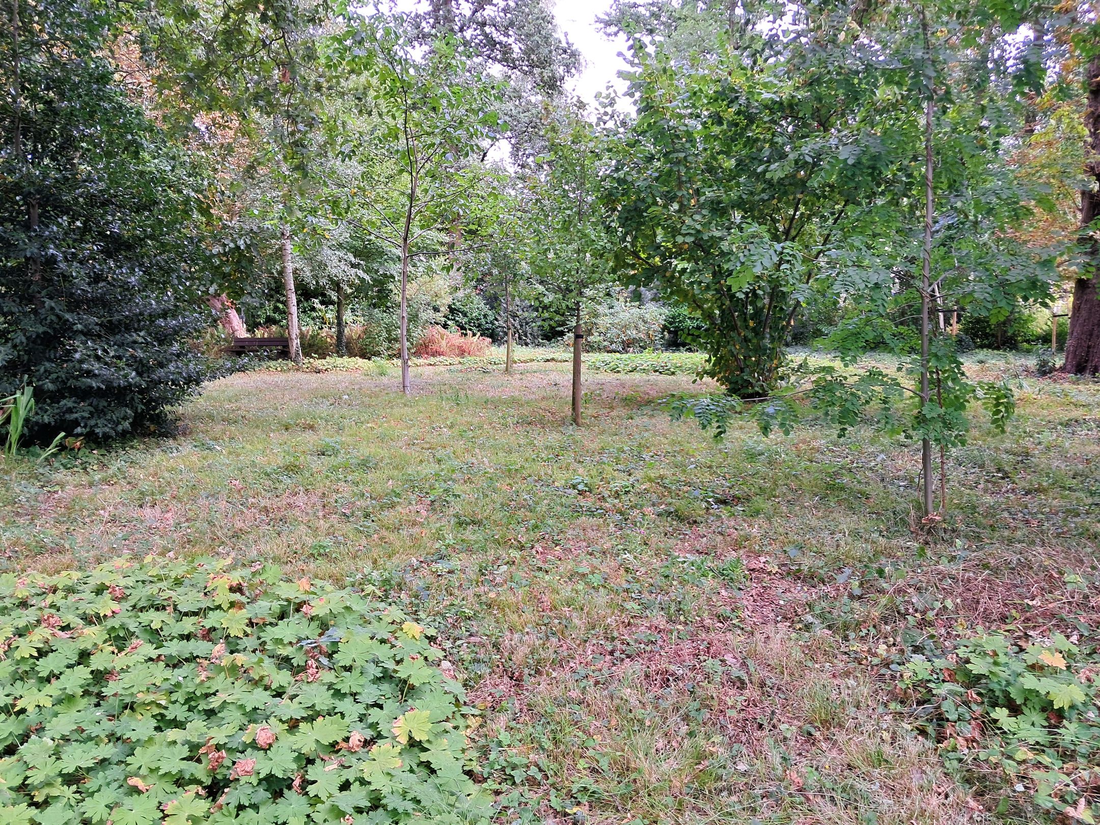 Foto 39 van Mariaplein 1