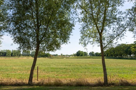 Doolhof 1 tertiary image