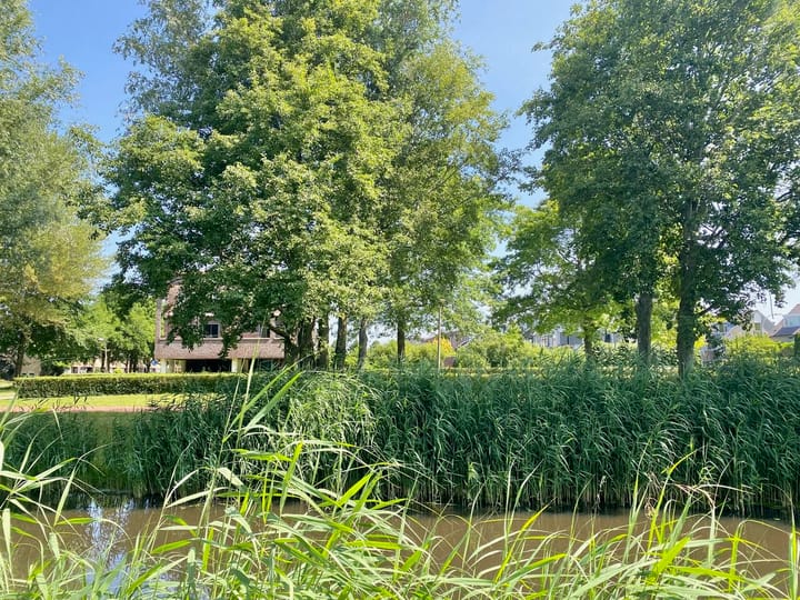 Foto 2 van Populierenlaan 7