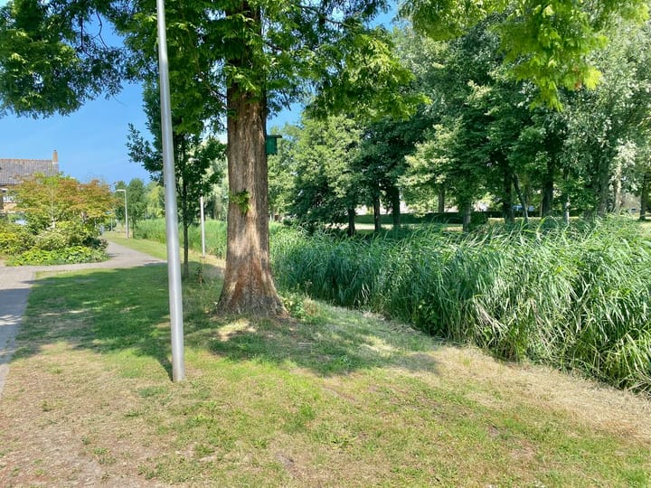 Foto 3 van Populierenlaan 7