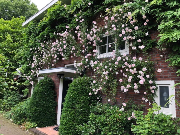 Photo 39 of Rembrandtlaan 34