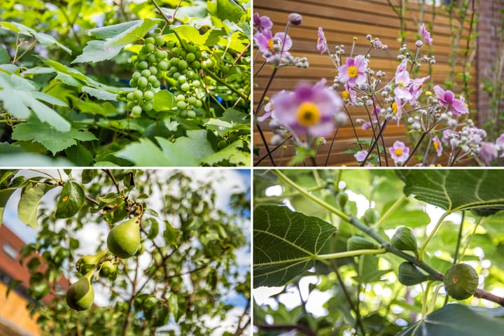 Foto 17 van Duurstedelaan 97